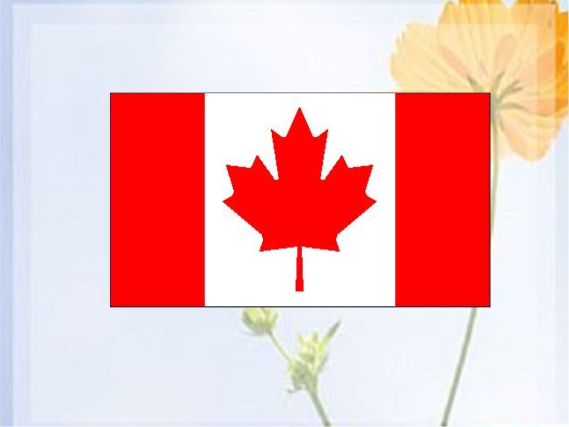 加拿大怎么充值微信红包